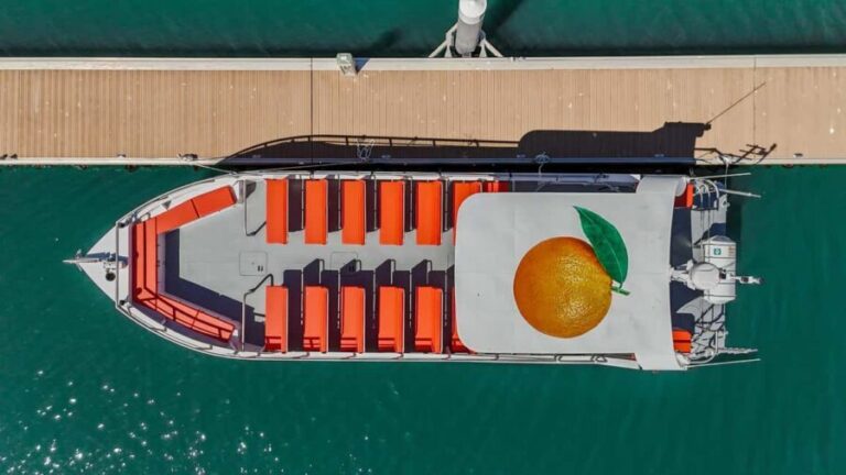 DOLPHIN WATCHING & BENAGIL CAVE TOUR FROM LAGOS - DUAL TRIP - Who Will Love This Tour?