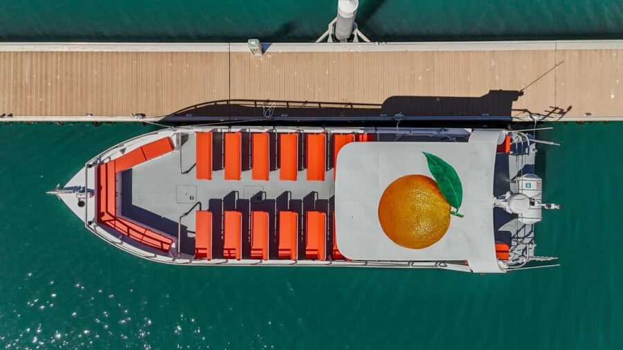 DOLPHIN WATCHING & BENAGIL CAVE TOUR FROM LAGOS - DUAL TRIP - Who Will Love This Tour?