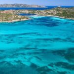 Dolphin Watching Boat Excursion to Figarolo Island from Olbia - Practical Details and Considerations