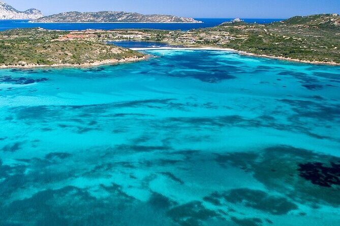 Dolphin Watching Boat Excursion to Figarolo Island from Olbia - Practical Details and Considerations