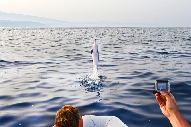 Dolphin Watching & Conservation - Dolphins in the Gulf of Catania - Who Is This Tour Best For?