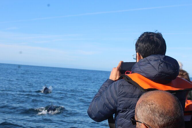 Dolphin Watching from Faro - Who Would Love This Tour?