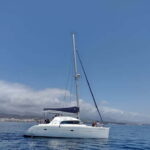 Dolphin watching in Estepona - Practical Details and Tips for Planning Your Trip