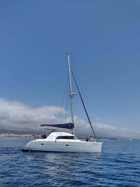 Dolphin watching in Estepona - Practical Details and Tips for Planning Your Trip