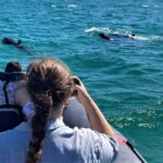Dolphin watching in Setúbal - FAQs