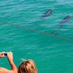Dolphin Watching in the Wild - Half Day Tour - Authentic Insights from Previous Travelers
