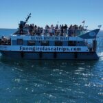 Dolphin watching on a Catamaran in Fuengirola - Who Will Love This Experience?