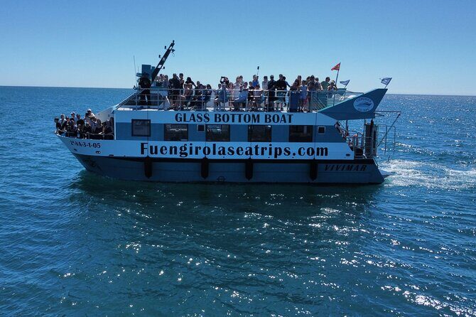 Dolphin watching on a Catamaran in Fuengirola - Who Will Love This Experience?