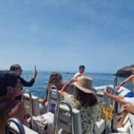 Dolphin Watching: Sesimbra / Arrábida Natural Park - What Makes This Tour Stand Out?