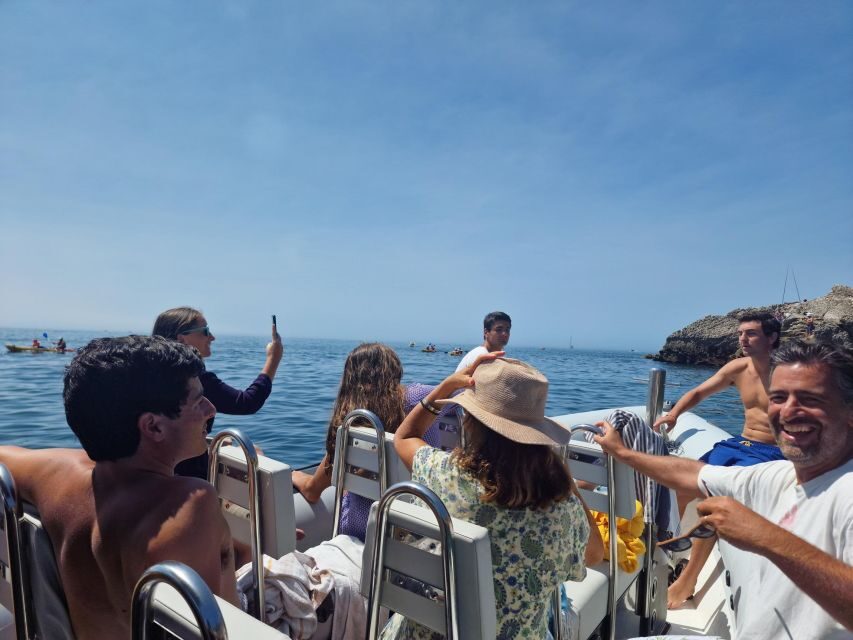 Dolphin Watching: Sesimbra / Arrábida Natural Park - What Makes This Tour Stand Out?