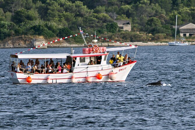 Dolphin Watching Sunset Boat Trip in Pula with Dinner - Final Thoughts: Is It Worth It?