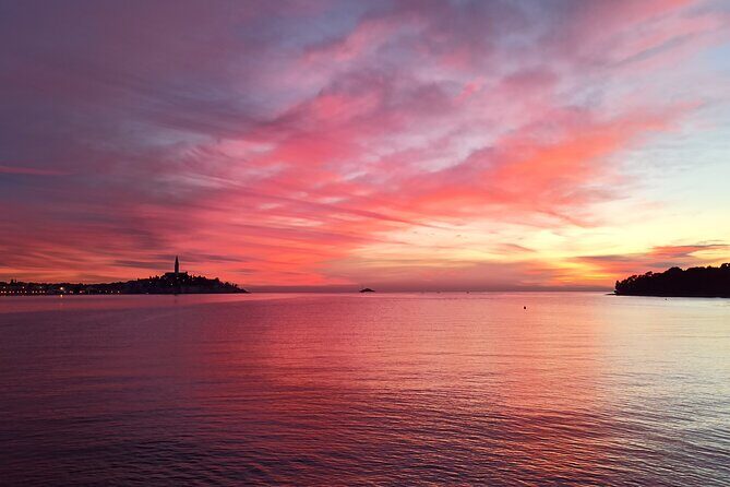 Dolphin Watching Sunset Speedboat Tour with Drinks in Rovinj - The Itinerary in Detail