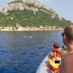 Dolphins: Dolphin Watching Tour and Capo Figari by Raft - Practical Tips for a Great Experience