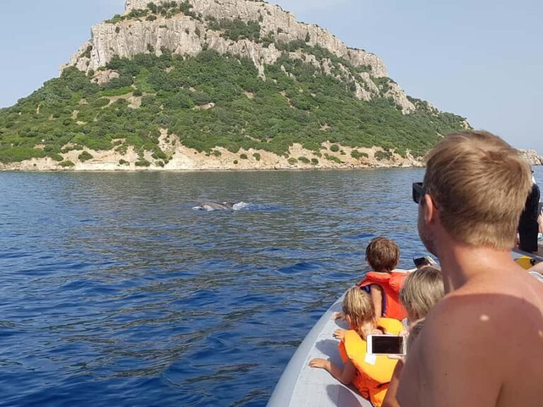 Dolphins: Dolphin Watching Tour and Capo Figari by Raft - Practical Tips for a Great Experience
