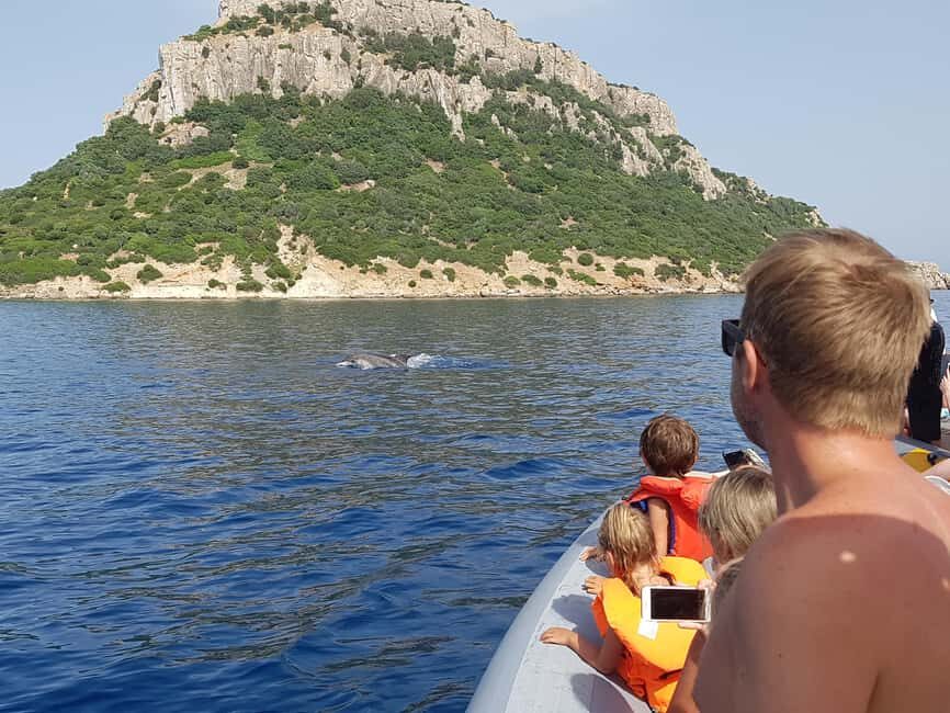 Dolphins: Dolphin Watching Tour and Capo Figari by Raft - Practical Tips for a Great Experience