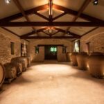 Domaine des Perchés: "Les Secrets des Perchés" tour - Inside the Cellar: Artisanal Winemaking Methods