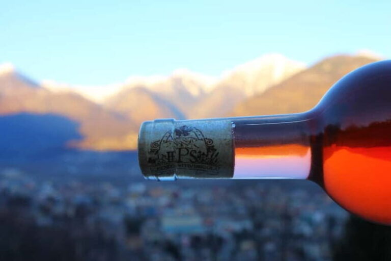 Domodossola: Savor Wines & Local Treats in a Scenic Vineyard - Why This Tour Offers Real Value