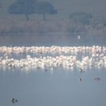 Doñana National Park: 2-Day Tour from Seville - An In-Depth Look at What the Tour Offers