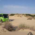 Doñana National Park in 4x4 and El Rocío - Visiting the Palace of El Acebrón