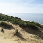 Doñana National Park Off-Road Tour from Seville - The Experience: What Travelers Are Saying