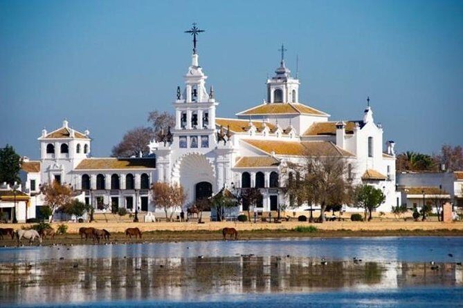 Doñana Natural Park Full-Day Tour from Seville - Authentic Experiences: What Others Say