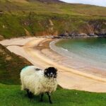 Donegal Private Tour Slieve League & Glenveagh National Park - Who is this tour perfect for?