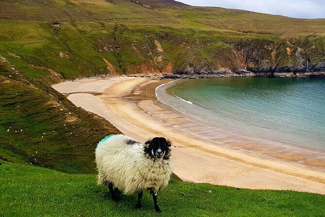 Donegal Private Tour Slieve League & Glenveagh National Park - Who is this tour perfect for?