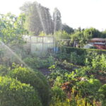 Dortmund: Allotment Garden Tour - Why This Tour Offers Great Value