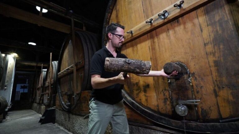 Douro: Classic Wine Tasting with Guided Tour - Who Will Love This Tour?