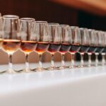 Douro Discovery Tasting - Practical Details for Travelers