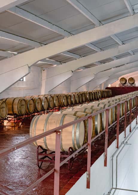 Douro: Martha's Cellar - Visit and Tawny Tasting - What to Expect from the Tour