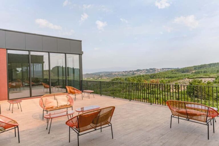 Douro: Martha's Selection - Premium Wine Tour and Tasting - The Practical Side: What You Need to Know