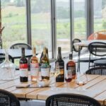 Douro: Martha's Welcome - Wine Tour and Tasting - Who Should Consider This Tour?