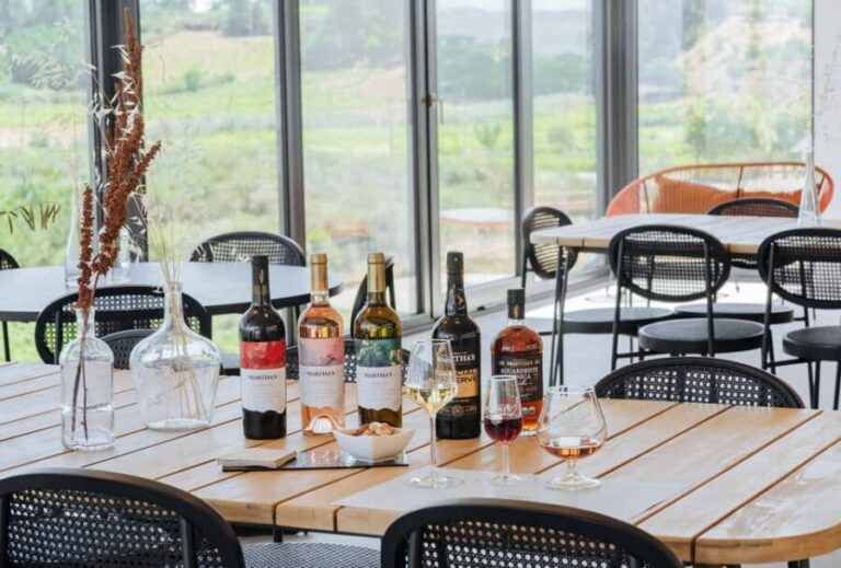 Douro: Martha's Welcome - Wine Tour and Tasting - Who Should Consider This Tour?