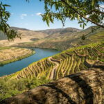 Douro Private Tour  Customizable Experience - The Value of the Tour