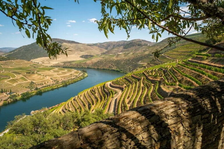 Douro Private Tour  Customizable Experience - The Value of the Tour
