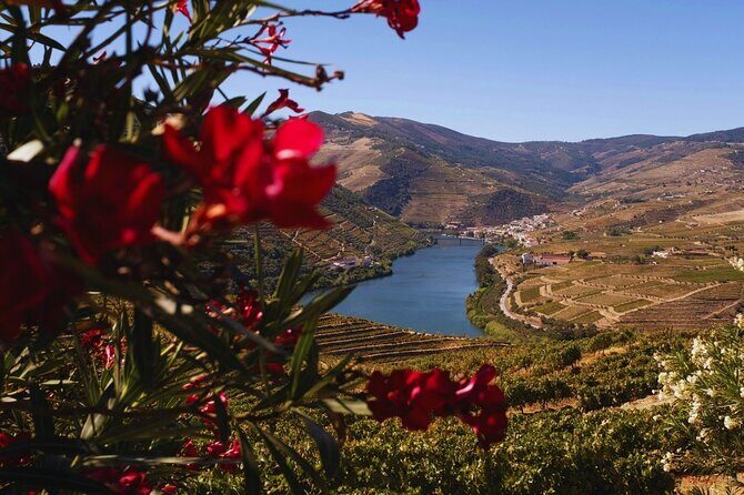 Douro Three Winery Small Group Tour with Lunch and Tastings - The Sum Up