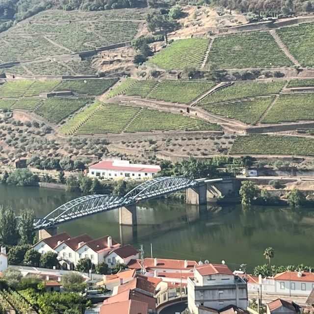 Douro Tour: Wine Tastings, Boat Ride & Manor House Lunch - Itinerary Breakdown: What to Expect