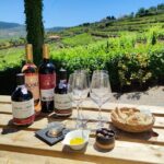Douro Tour with Wine Tasting, River Cruise and Visit to Lamego - Is the Cost Worth It?