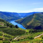 DOURO TOURS - in Pinhão 1 day all inclusive 99, Douro Valley - Who Is This Tour Best For?