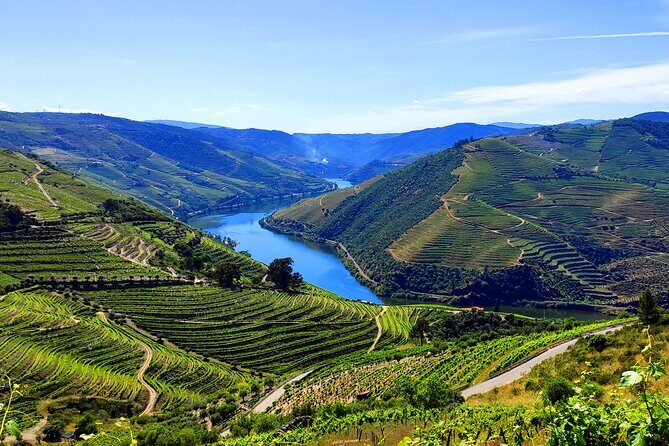 DOURO TOURS - in Pinhão 1 day all inclusive 99, Douro Valley - Who Is This Tour Best For?