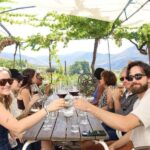 Douro valley: 2 Wineries Lunch at the Winery & 1h Boat Tour - First Winery Visit: A Family-Run Boutique Experience
