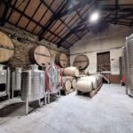 Douro Valley: 2 Wineries, Lunch & Boat - Why This Tour Works Well