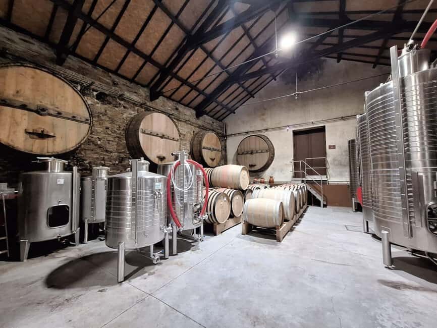 Douro Valley: 2 Wineries, Lunch & Boat - Why This Tour Works Well