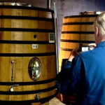 Douro Valley: A Day in Douro Valley Tasting The Best Wines - What to Expect & Practical Tips