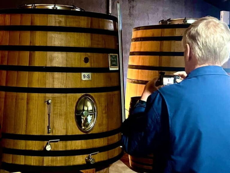 Douro Valley: A Day in Douro Valley Tasting The Best Wines - What to Expect & Practical Tips