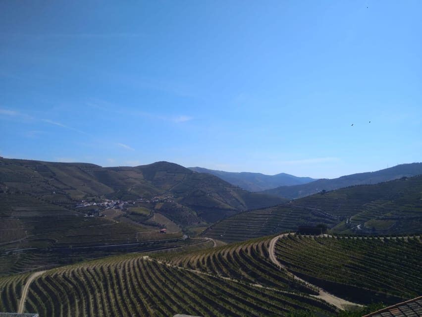 Douro Valley & Amarante - from Porto, Braga or Guimarães - What’s Included and What to Consider