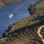 Douro Valley Cruise Porto to Pinhão: Breakfast, Lunch and Tasting - Authentic Experiences and Guest Insights