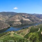 Douro Valley: Douro Valley Tour Including 3 Wineries - What to Expect at Each Winery