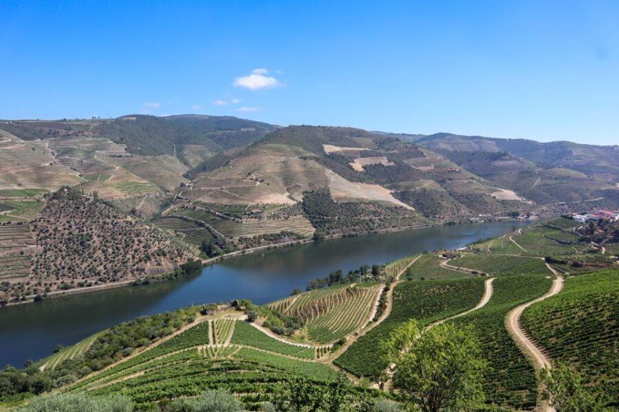 Douro Valley: Douro Valley Tour Including 3 Wineries - What to Expect at Each Winery